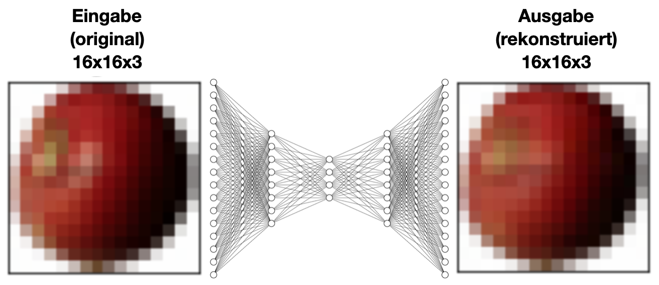 Autoencoder eines Apfels