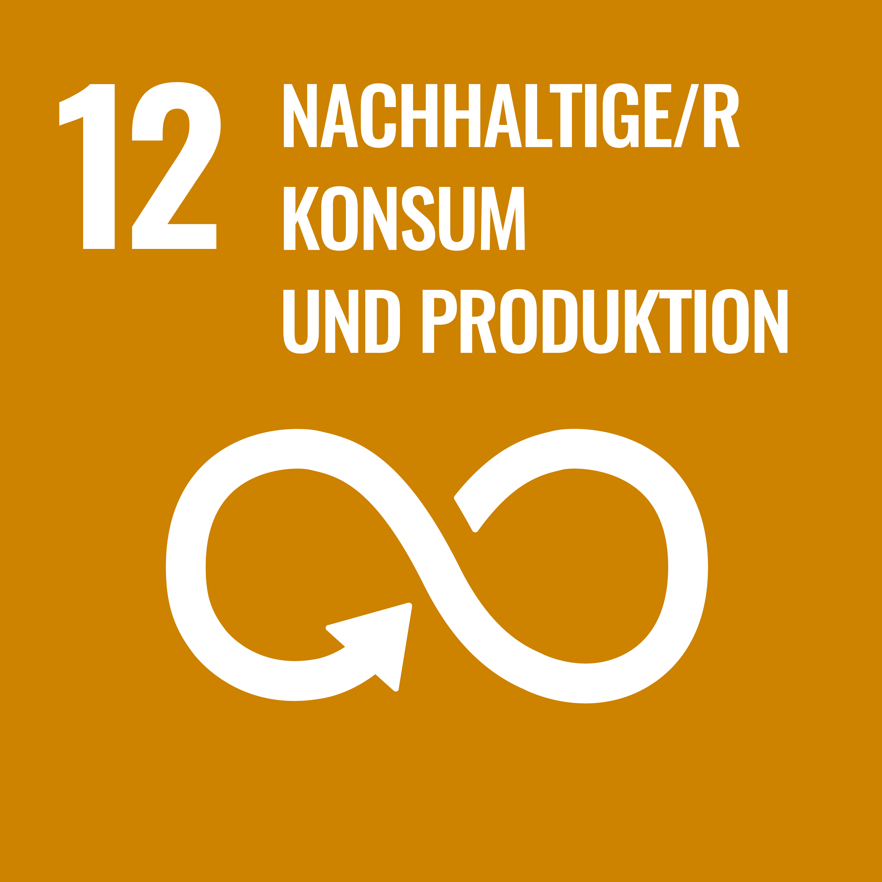 SDG 12