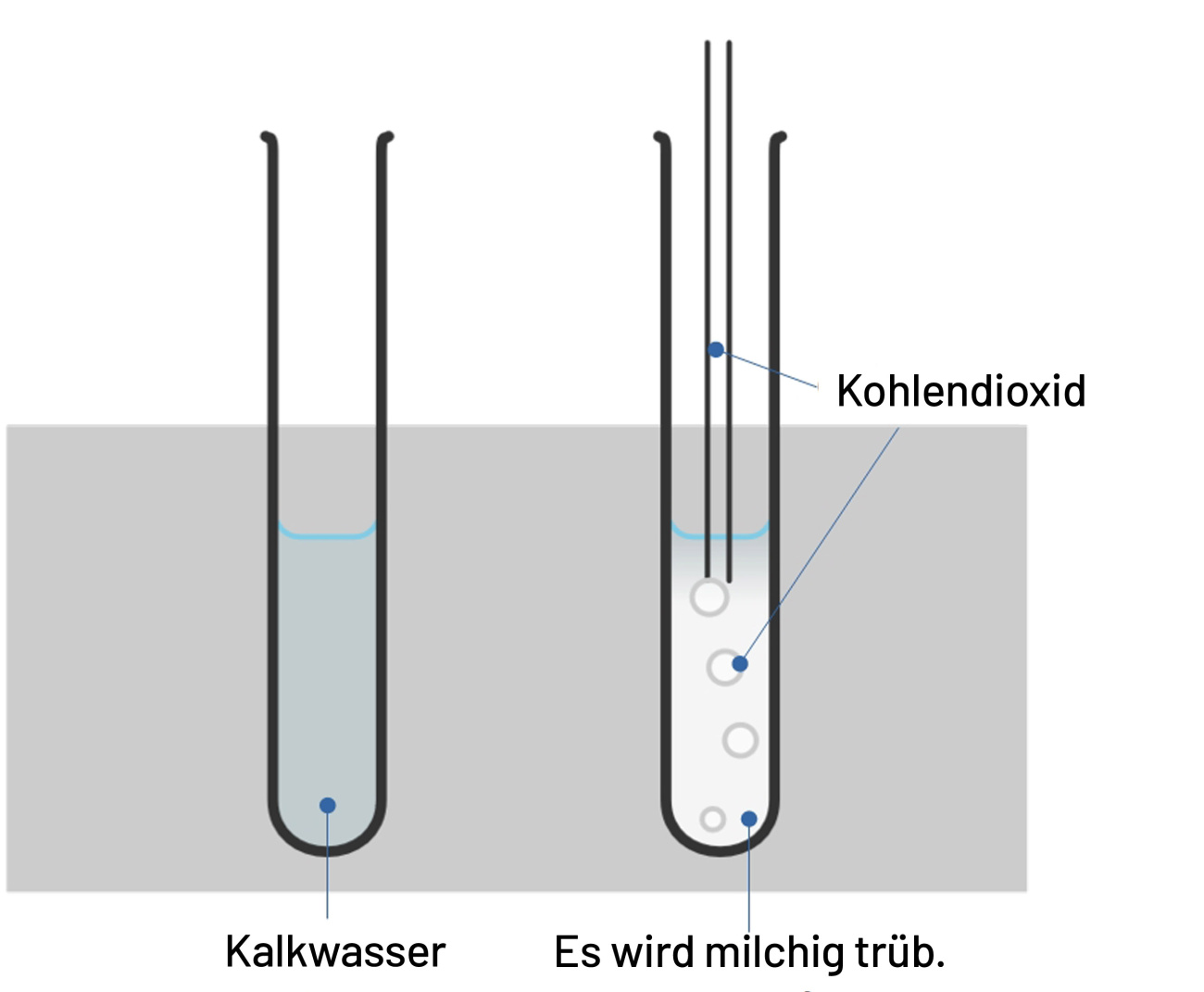 kalkwasserprobe experiment